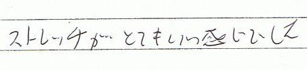 ストレッチがとても良い感じでした。