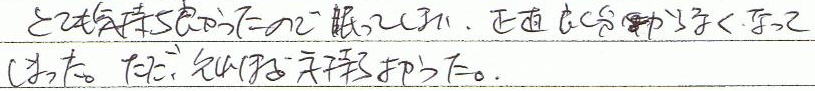 とても気持ち良かったので眠ってしまい、正直よく分らなくなってしまった。ただ、それほど気持ちよかった。