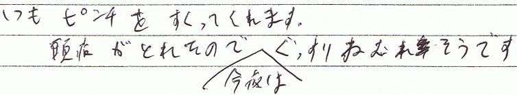 いつもピンチをすくってくれます。頭痛がとれたので、今夜はぐっすりねむれそうです。